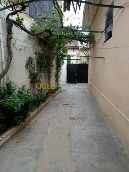 Vente Villa Blida Blida