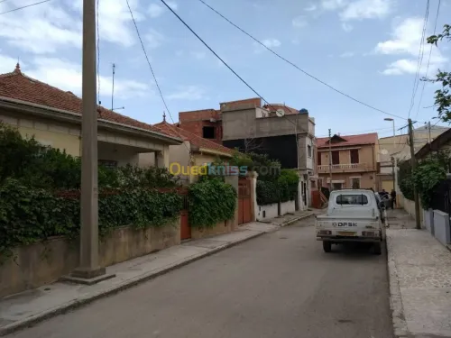 Vente Villa Blida Blida