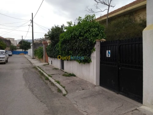 Vente Villa Blida Blida