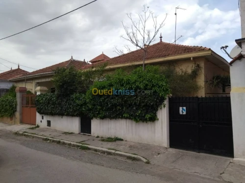Vente Villa Blida Blida