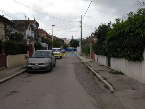 Vente Villa Blida Blida