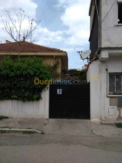 Vente Villa Blida Blida