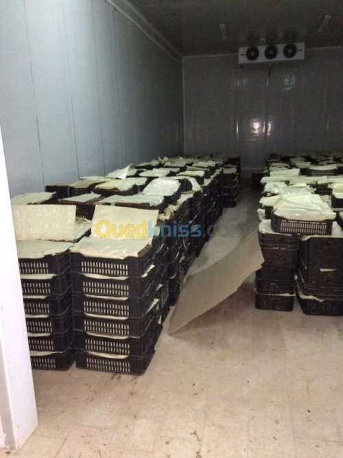 Vente Villa Biskra Biskra