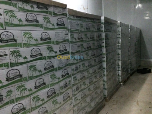 Vente Villa Biskra Biskra