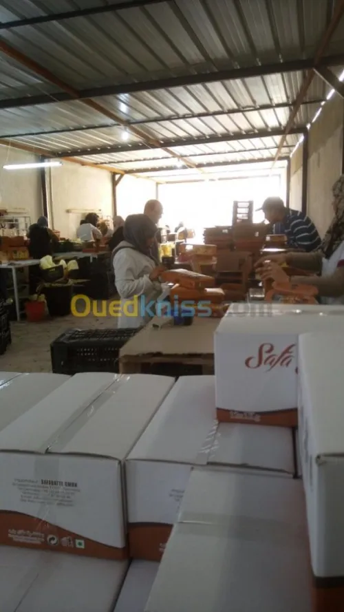 Vente Villa Biskra Biskra