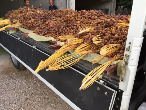 Vente Villa Biskra Biskra
