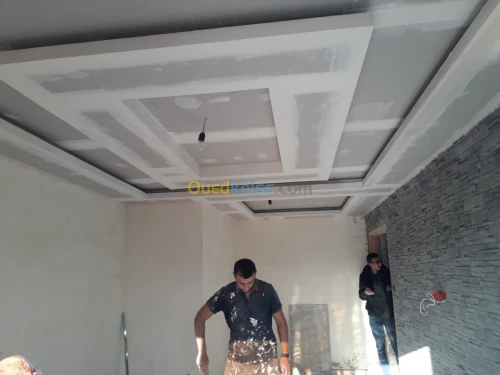 Placo platre BA13 pvc 