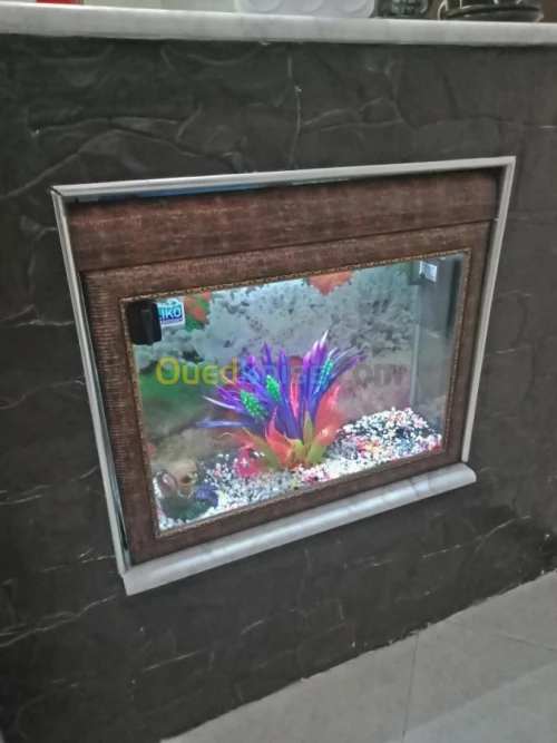 Vente des aquarium