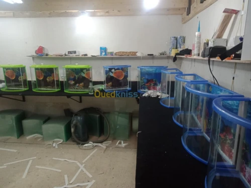 Vente des aquarium