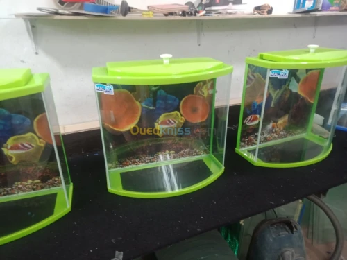 Vente des aquarium