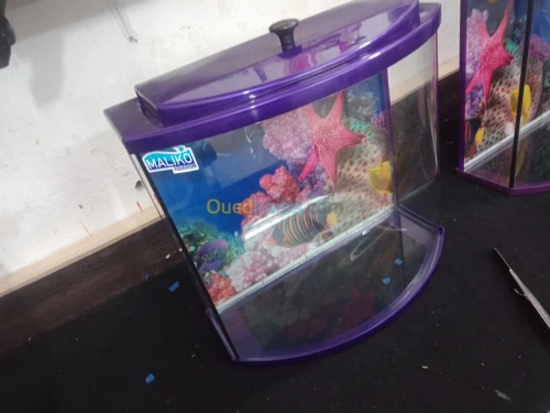 Vente des aquarium