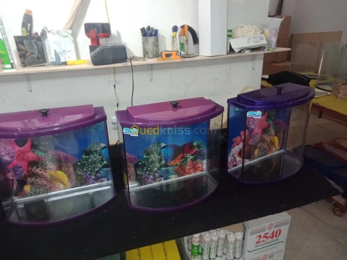 Vente des aquarium