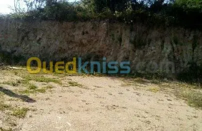 Vente Terrain Skikda Collo