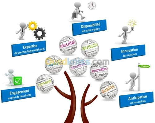 Information Technology, Consulting