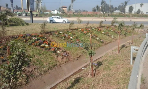 jardinage