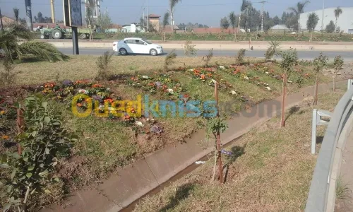  jardinage
