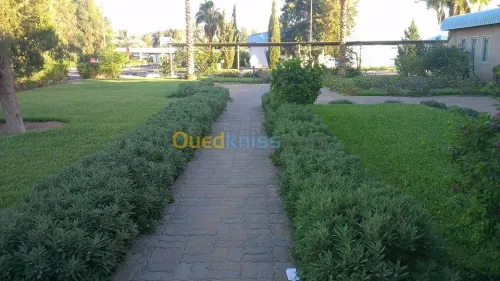  jardinage