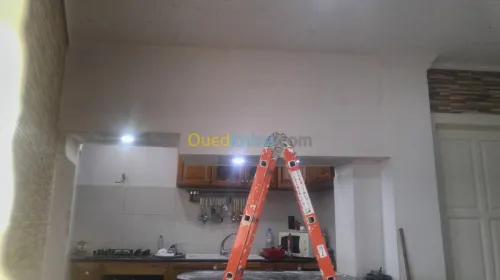 Placoplatre/dementable/pvc/parquet