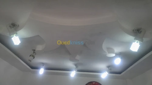 Placoplatre/dementable/pvc/parquet