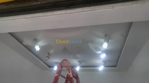 Placoplatre/dementable/pvc/parquet