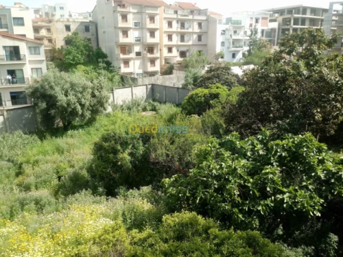 Vente Terrain Alger Bir mourad rais