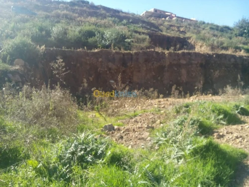 Vente Terrain Bejaia Bejaia