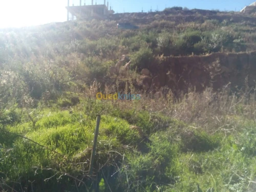 Vente Terrain Bejaia Bejaia