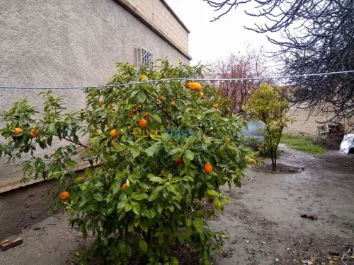 Vente Villa Batna Ngaous
