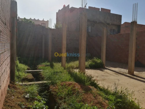 Vente Terrain Sidi bel abbes Amarnas