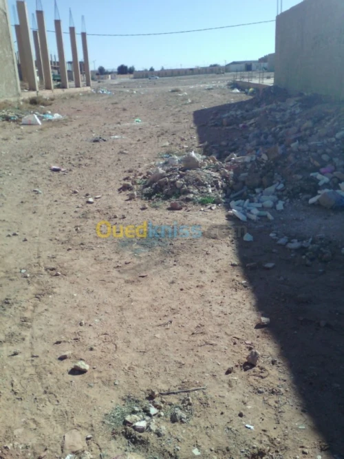 Vente Terrain Naâma Naama