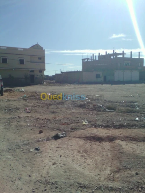 Vente Terrain Naâma Naama