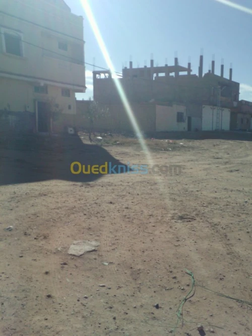 Vente Terrain Naâma Naama