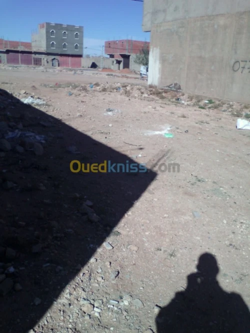 Vente Terrain Naâma Naama