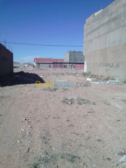 Vente Terrain Naâma Naama