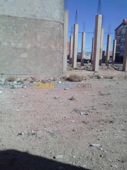 Vente Terrain Naâma Naama