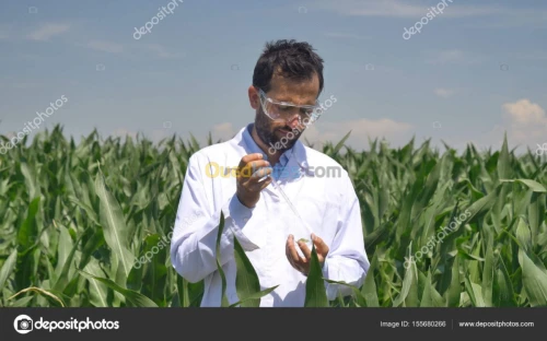 Spécialiste Plantes Vertes