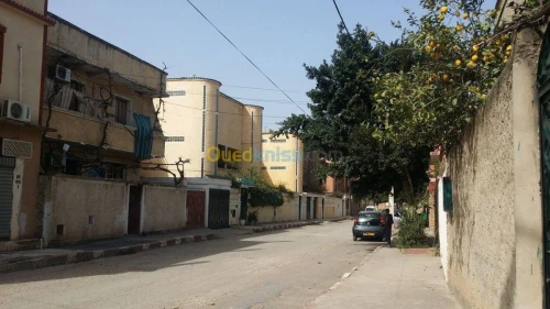 Vente Villa Blida Chebli