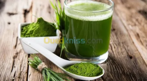 Wheat grass ...عشبة القمح المعجزة 