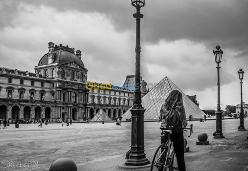 photographe professionnel ( femme ) 