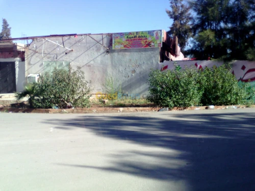 Vente Niveau De Villa F5 Djelfa Ain oussara