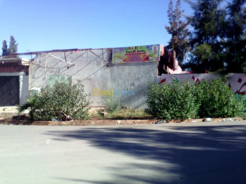 Vente Niveau De Villa F5 Djelfa Ain oussara
