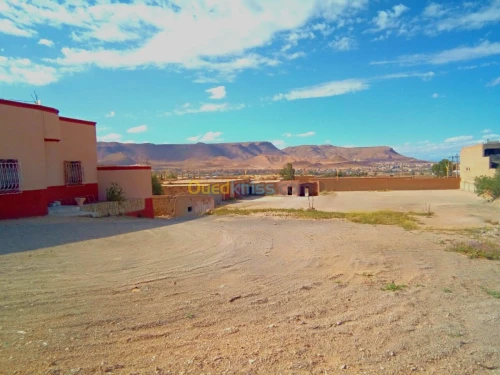 Vente Terrain Msila Msila