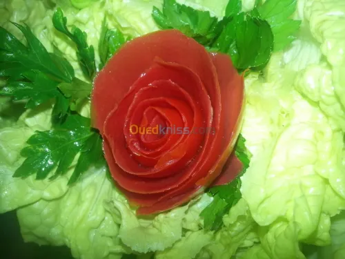 préparation tout type de plat .