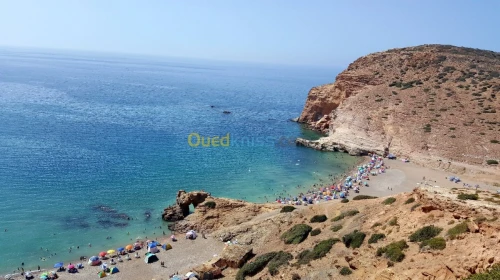 Location Appartement Aïn Témouchent Beni saf