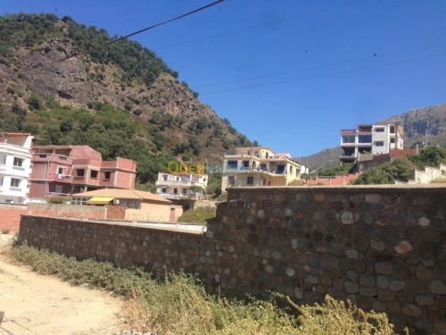 Location Appartement Jijel El aouana