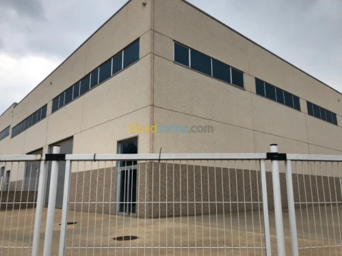 Location Hangar Alger Birtouta