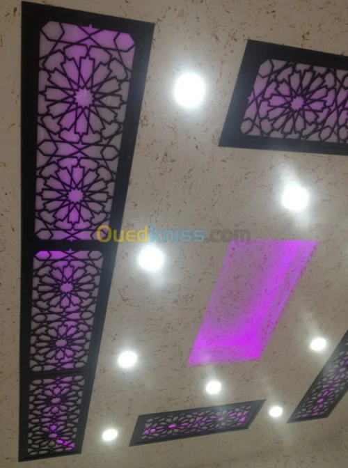 Décoration: Placoplatre/Pvc/Electr