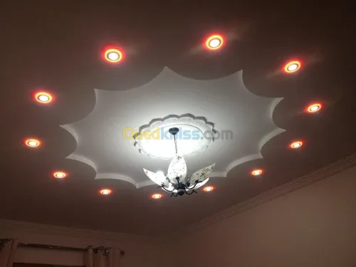 Décoration: Placoplatre/Pvc/Electr