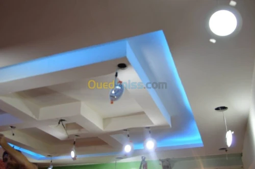 Décoration: Placoplatre/Pvc/Electr