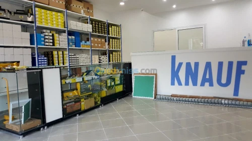 Knauf distribution ba13 hydrofuge vert